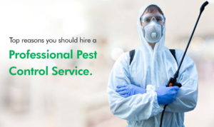 pest control services Canada