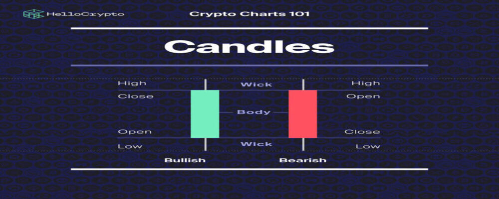 Beginner's Guide to Understanding Crypto Charts