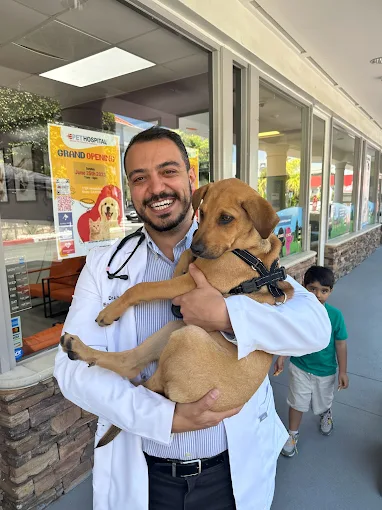 emergency pet care