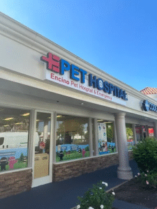 24 Hour Emergency Pet Care